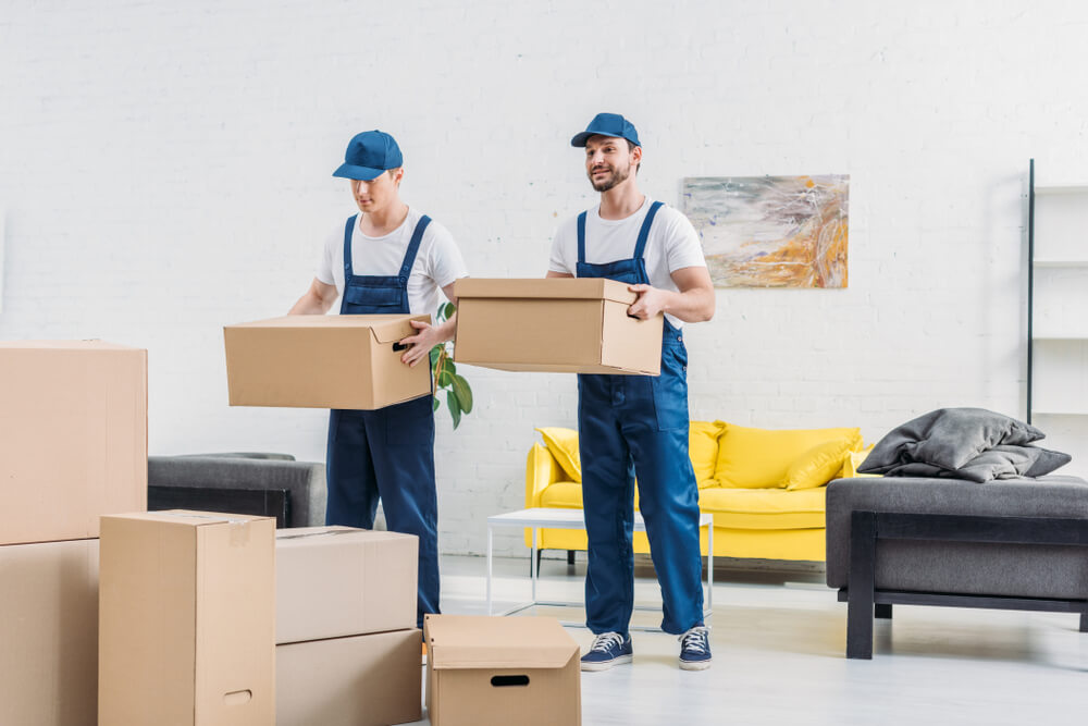 Cheap Moving Companies Near Me Tacoma