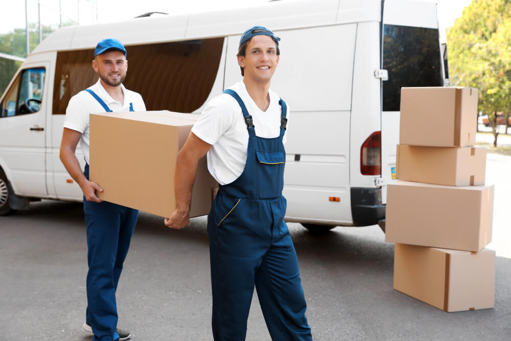Office Removalists Kings Tampa